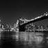 fulton landing - downtown and brooklyn bridge.jpg